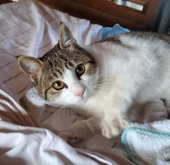 Emily, lasciati conquistare dalla sua tenerezza  | Foto 5