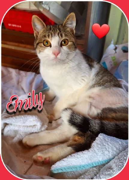 Emily, lasciati conquistare dalla sua tenerezza  | Foto 4