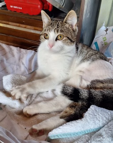 Emily, lasciati conquistare dalla sua tenerezza 