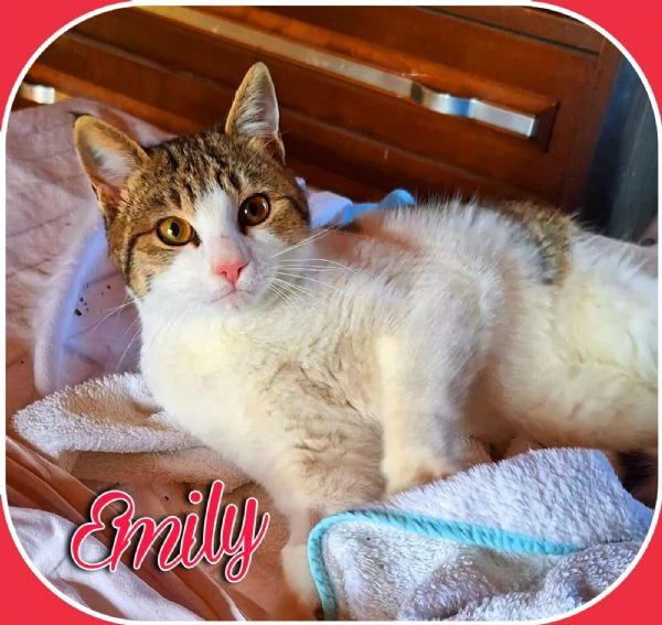 Emily, lasciati conquistare dalla sua tenerezza  | Foto 3