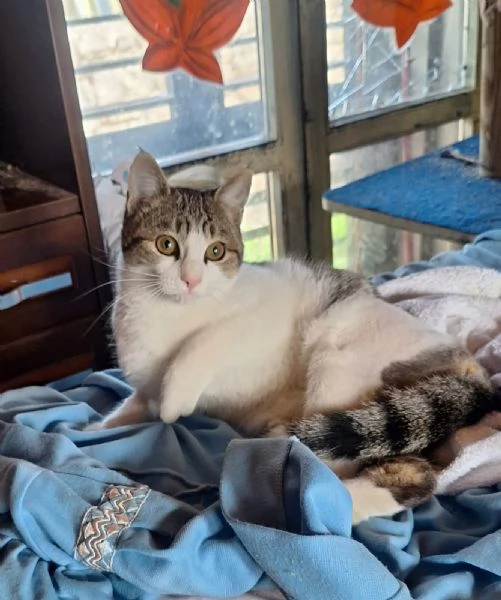 Emily, lasciati conquistare dalla sua tenerezza  | Foto 2