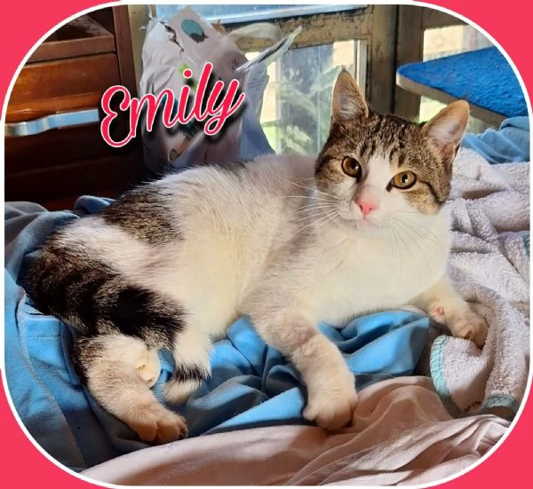 Emily, lasciati conquistare dalla sua tenerezza  | Foto 1