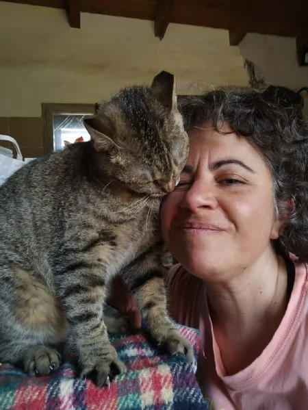 Adotta Virginia, un'amore di tigrotta  | Foto 5