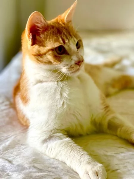 Red, un cuore dolce e sensibile  | Foto 2