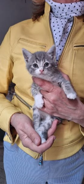 Susy 2 mesi di tenerezza  | Foto 2