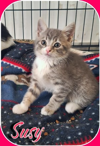 Susy 2 mesi di tenerezza  | Foto 1