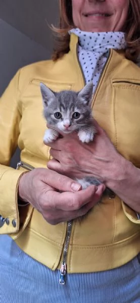 Susy 2 mesi di tenerezza  | Foto 0