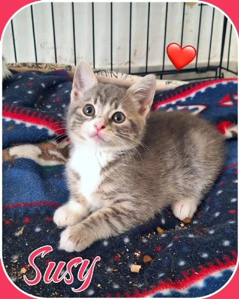 Susy 2 mesi di tenerezza 