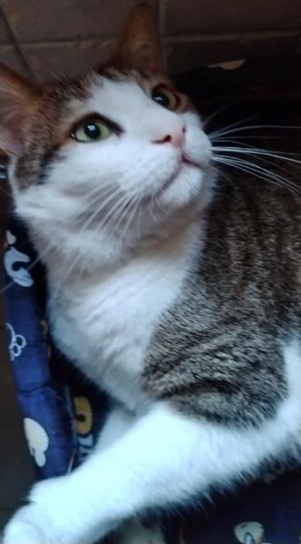 Matisse, 6 anni di dolcezza | Foto 1