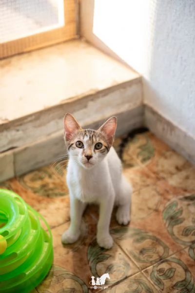 Fragolino 3 mesi e un cuore d'amare 