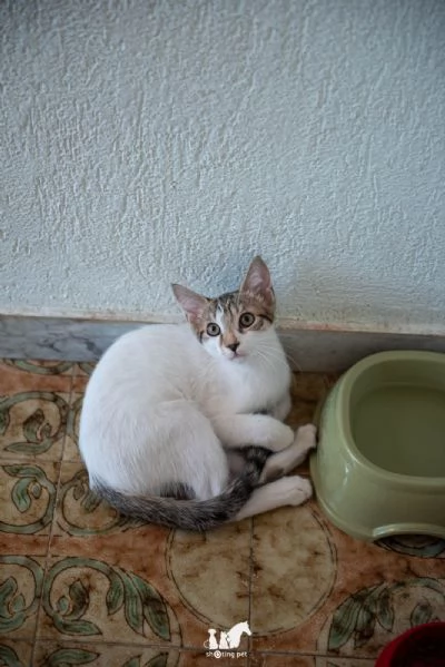 Fragolino 3 mesi e un cuore d'amare  | Foto 2