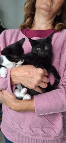 Mulan e Belle, due batuffoli in cerca d'amore  | Foto 4