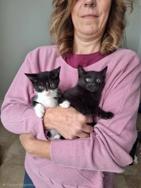 Mulan e Belle, due batuffoli in cerca d'amore  | Foto 3