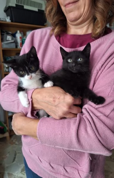 Mulan e Belle, due batuffoli in cerca d'amore  | Foto 2