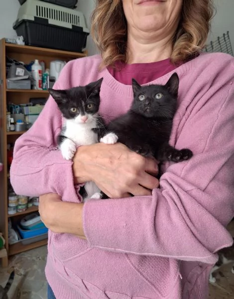 Mulan e Belle, due batuffoli in cerca d'amore 