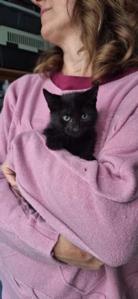 Mulan e Belle, due batuffoli in cerca d'amore  | Foto 0