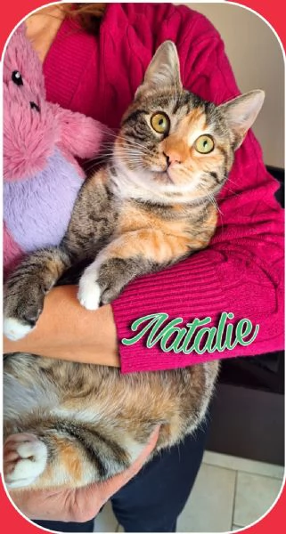 Natalie, il tuo dono coccoloso per Natale | Foto 5