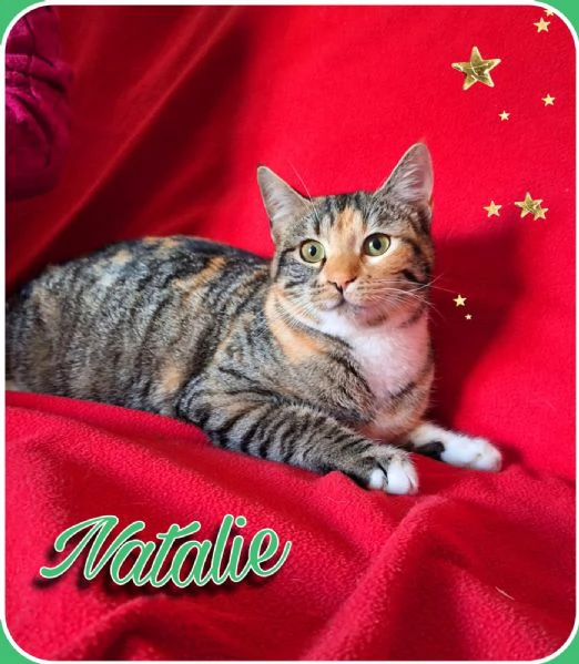 Natalie, il tuo dono coccoloso per Natale | Foto 3