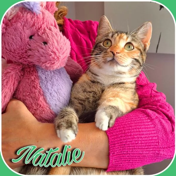 Natalie, il tuo dono coccoloso per Natale | Foto 2