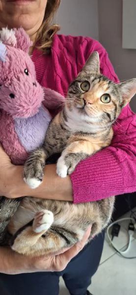 Natalie, il tuo dono coccoloso per Natale | Foto 1