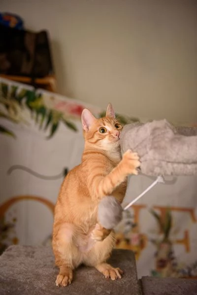 Apri le porte del tuo cuore a ZOE | Foto 2