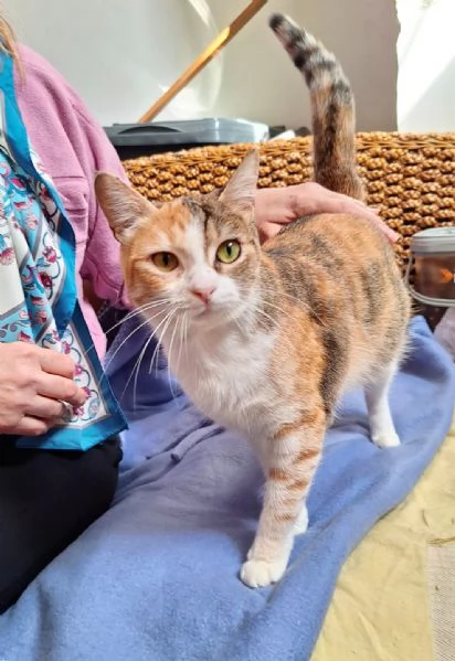 Maggie, 1 anno di dolcezza  | Foto 9