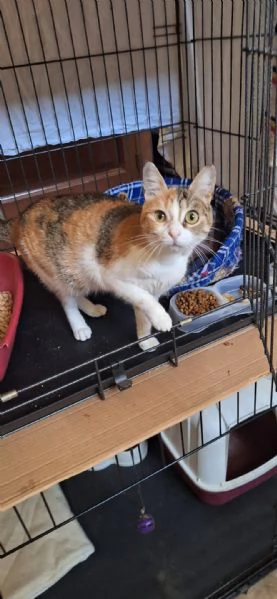 Maggie, 1 anno di dolcezza  | Foto 4