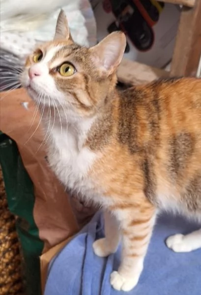 Maggie, 1 anno di dolcezza  | Foto 7