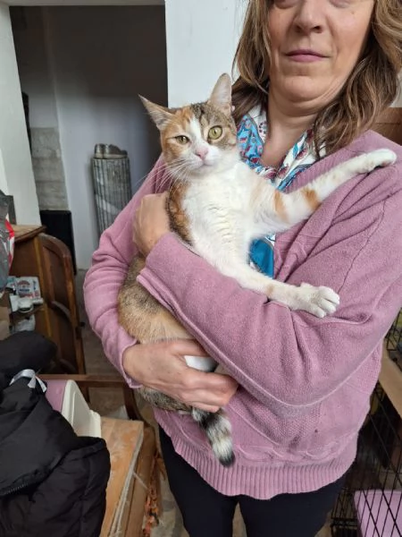 Maggie, 1 anno di dolcezza 