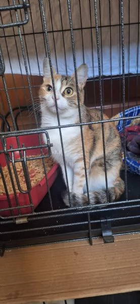 Maggie, 1 anno di dolcezza  | Foto 3