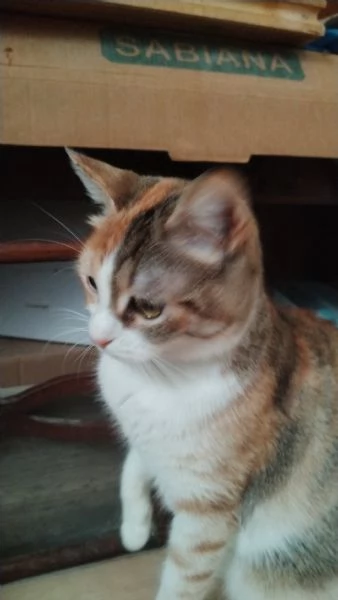 Maggie, 1 anno di dolcezza  | Foto 3