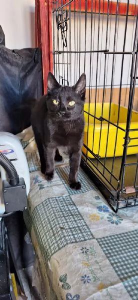 Mulan e Merida, due cuori una sola anima | Foto 6