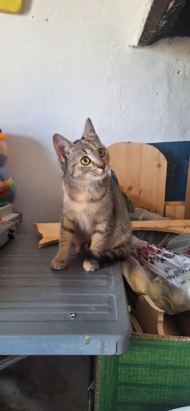 Mulan e Merida, due cuori una sola anima | Foto 2