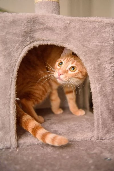 Zoe &egrave; vita, ma la sua &egrave; chiusa in un box | Foto 0