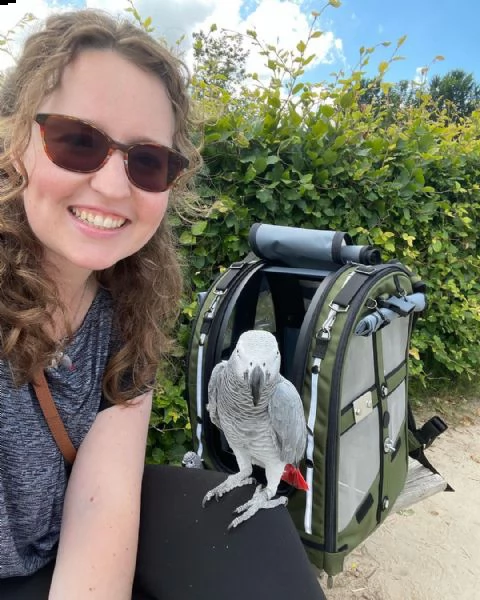 ciao questo bambino è in adozione | Foto 0