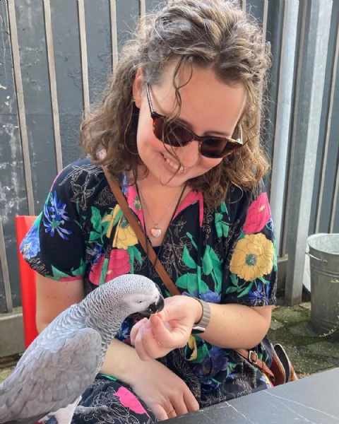 pappagallo in adozione