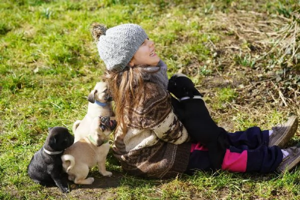 adorabili cuccioli di carlino | Foto 2