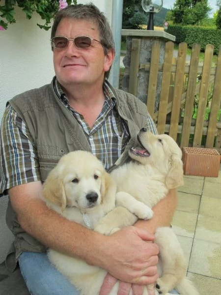 cuccioli golden con pedigree enci | Foto 0