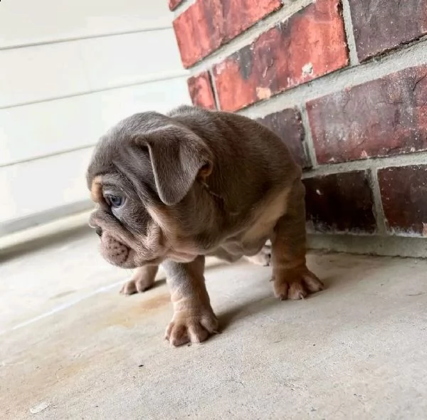 in vendita casella di posta se interessati | Foto 0