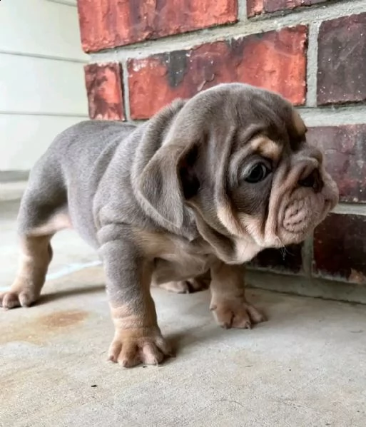 in vendita casella di posta se interessati