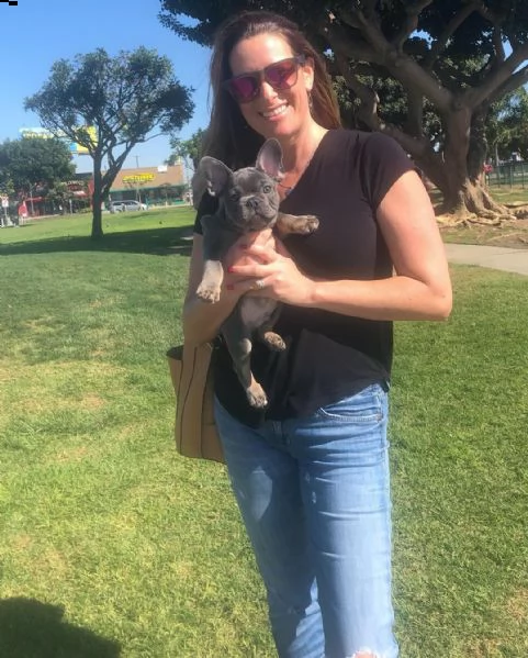 cuccioli di bulldog francese disponibili per la vendita.  )) | Foto 2