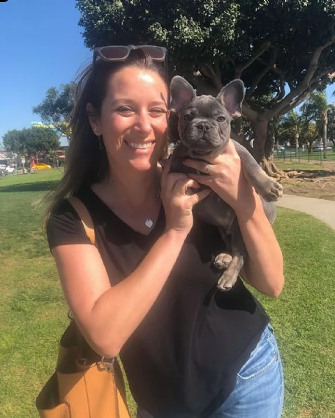 cuccioli di bulldog francese disponibili per la vendita.  )) | Foto 0