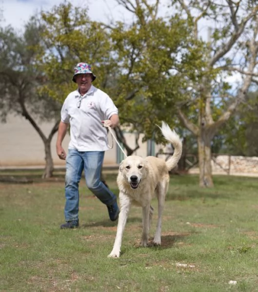 Patrick, una meraviglia in gabbia | Foto 2