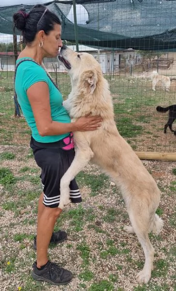 Patrick, una meraviglia in gabbia | Foto 1