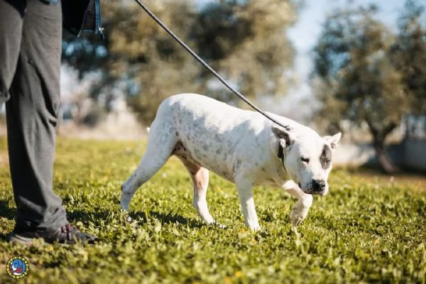 Magda, chiede salvezza | Foto 3