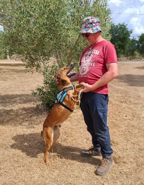 Aladin, 8 mesi  | Foto 1