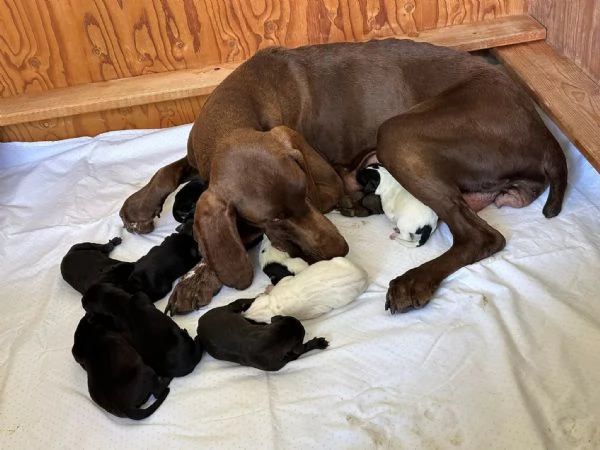 tenerissimo Carlos | Foto 4