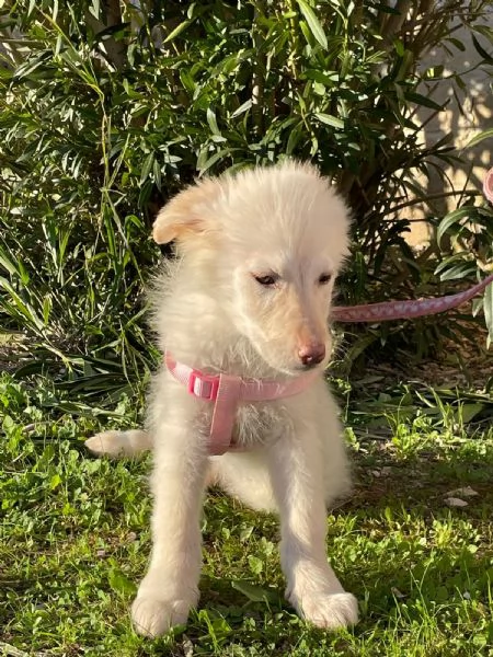 Ninfa &egrave; rimasta sola | Foto 3