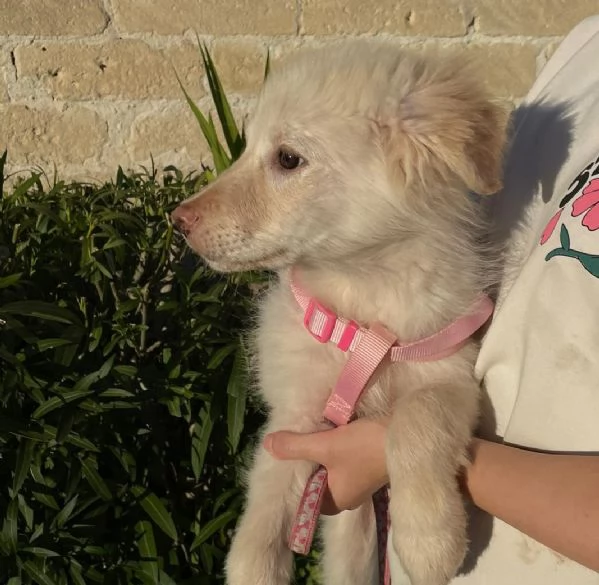 Ninfa &egrave; rimasta sola | Foto 1