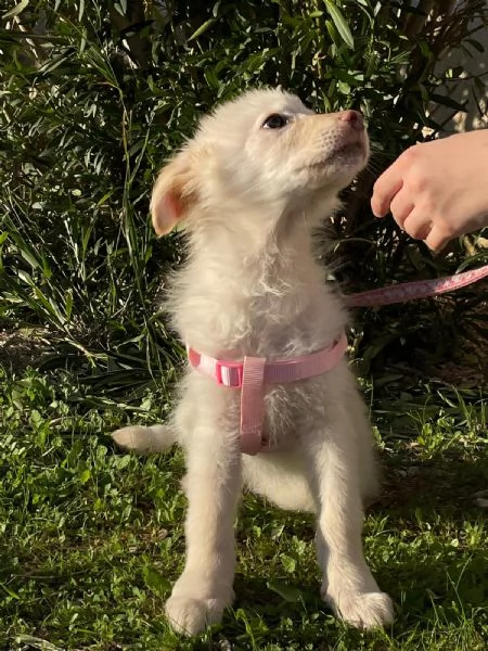 Ninfa &egrave; rimasta sola | Foto 0